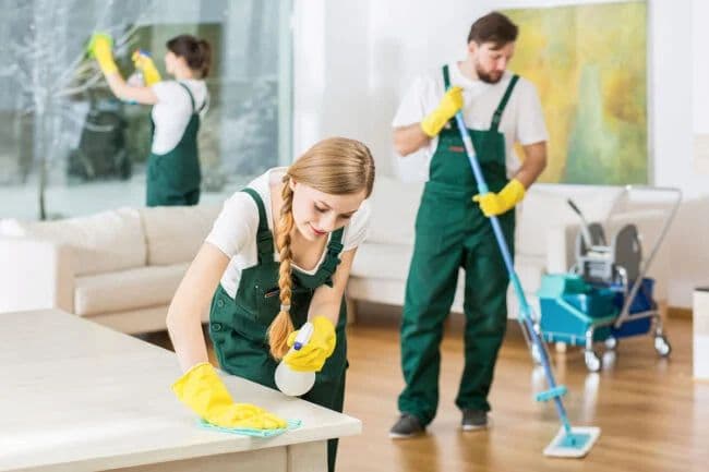 How to Remove Stubborn Fabric Stains & Odors from Sofas